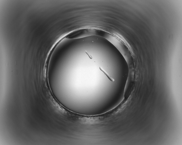 X0000087570900200704271245