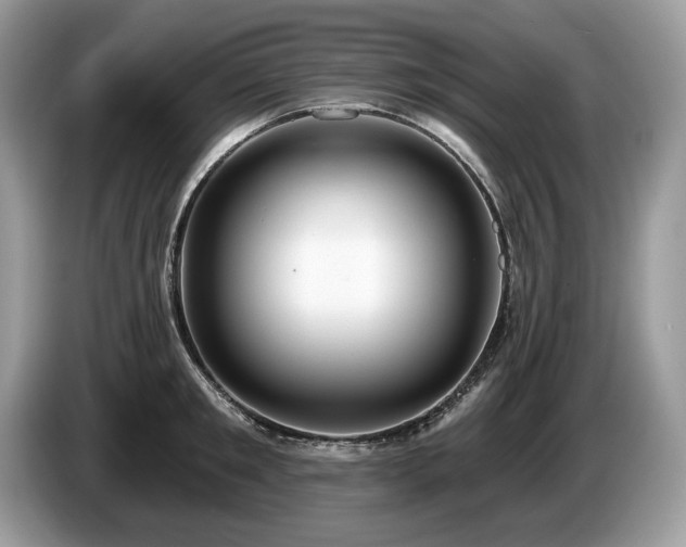 X0000087570901200704271245