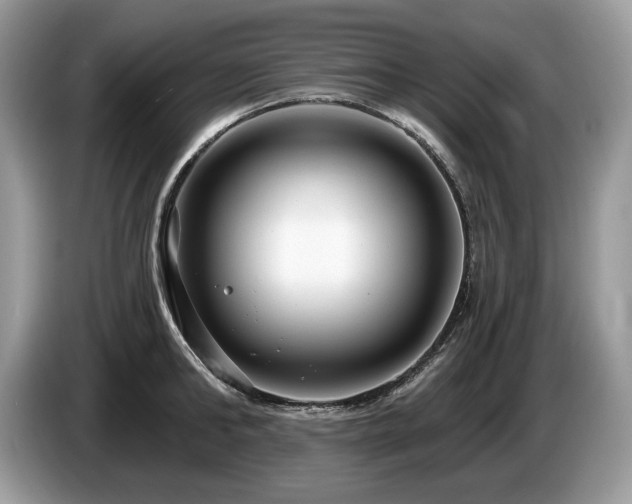 X0000087570902200704271245