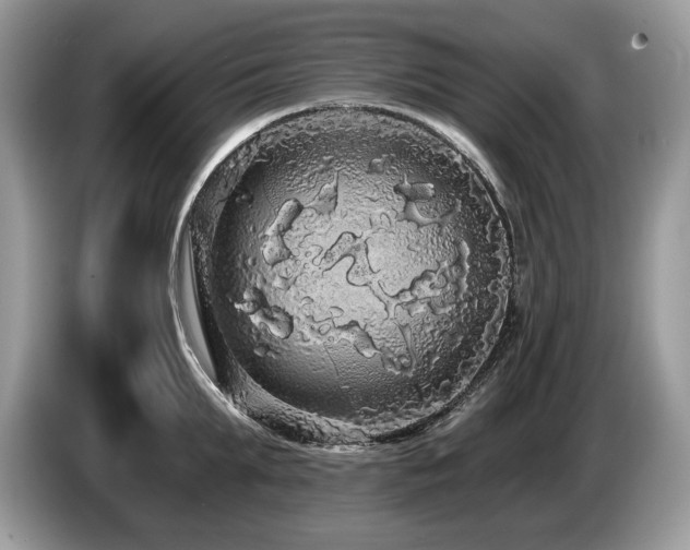 X0000087570903200704271245