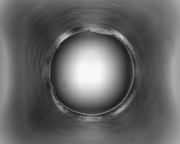 X0000087570905200704271245