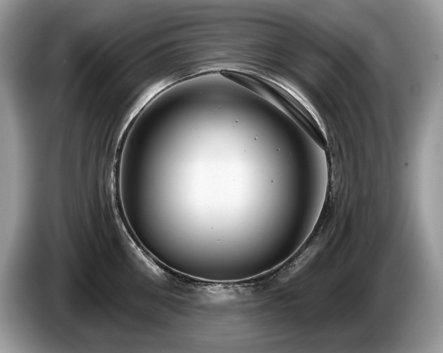 X0000087570906200704271245