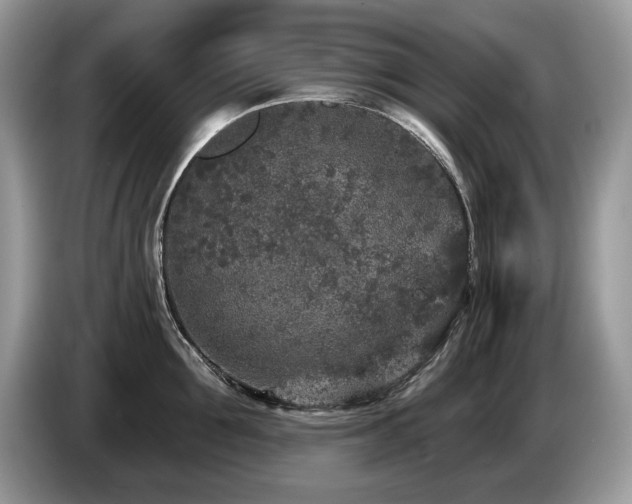 X0000087570907200704271245