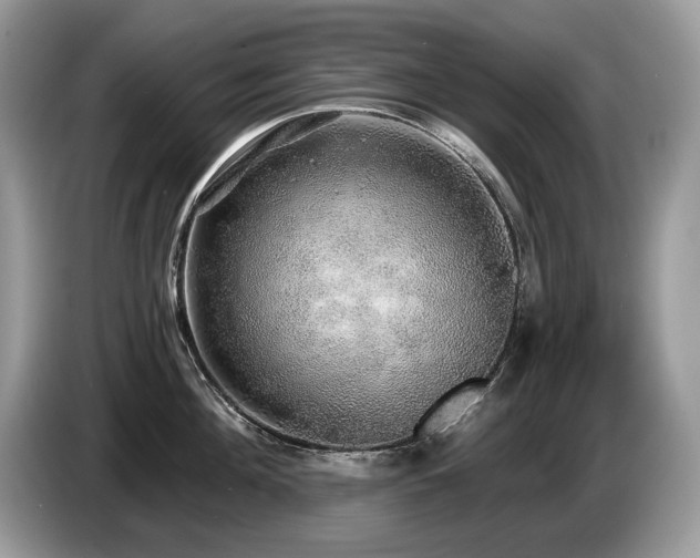 X0000087570908200704271245