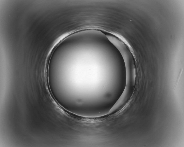 X0000087570910200704271245