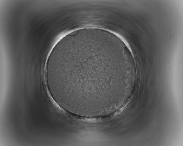 X0000087570911200704271245