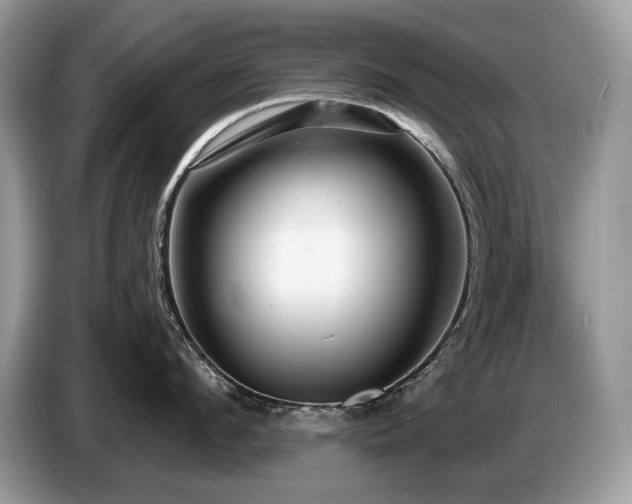 X0000087570912200704271245