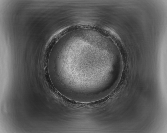 X0000087570920200704271244