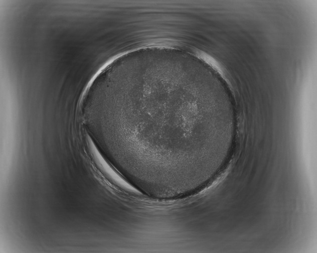 X0000087570923200704271244
