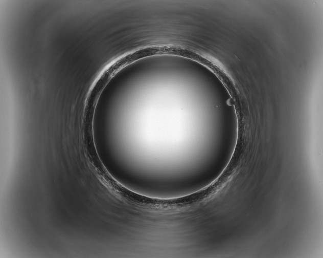 X0000087570927200704271244
