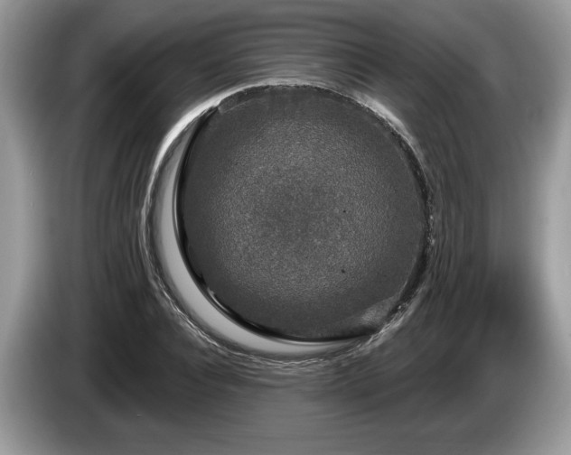 X0000087570928200704271244
