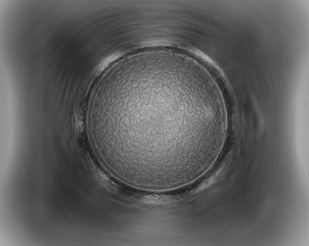X0000087570929200704271244