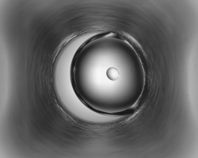 X0000087570930200704271244