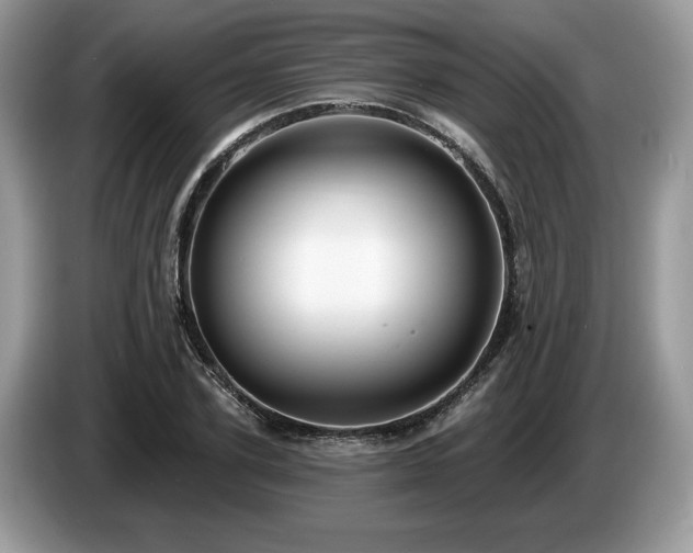 X0000087570931200704271244