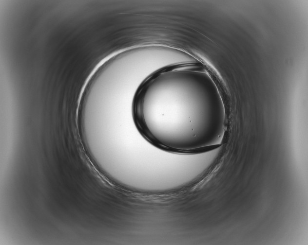 X0000087570932200704271244