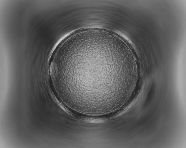 X0000087570933200704271244