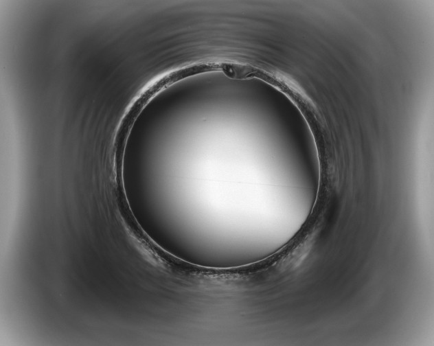 X0000087570934200704271244