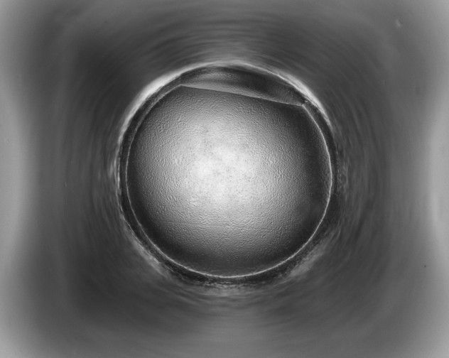 X0000087570935200704271244