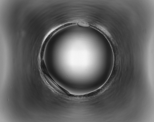 X0000087570936200704271244