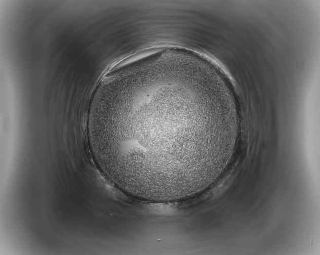 X0000087570937200704271244