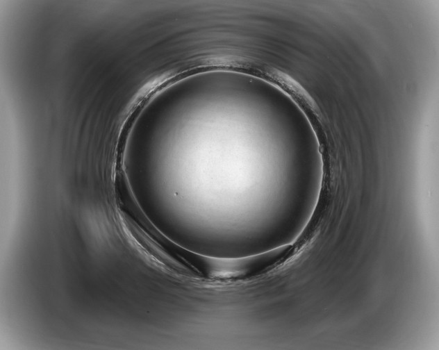 X0000087570938200704271244