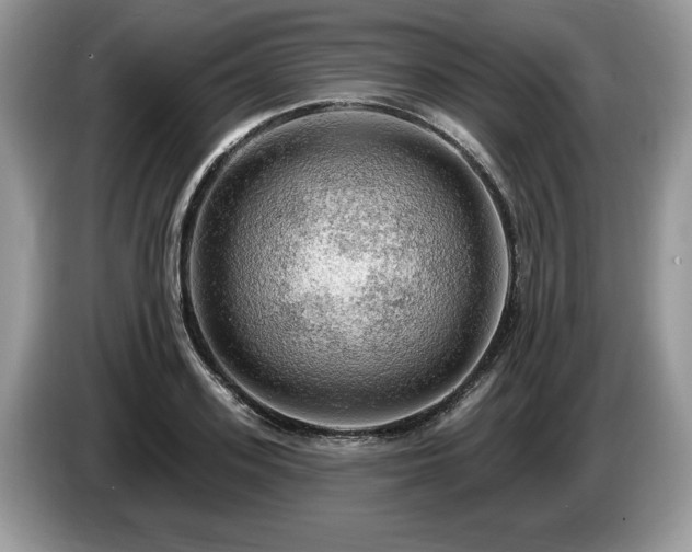 X0000087570939200704271245