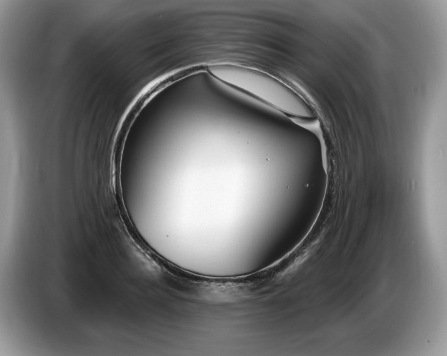 X0000087570940200704271245