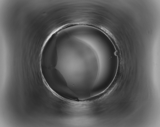 X0000087570941200704271245