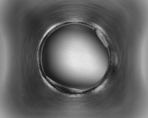 X0000087570942200704271245