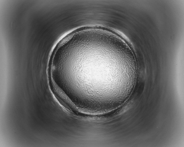 X0000087570943200704271245