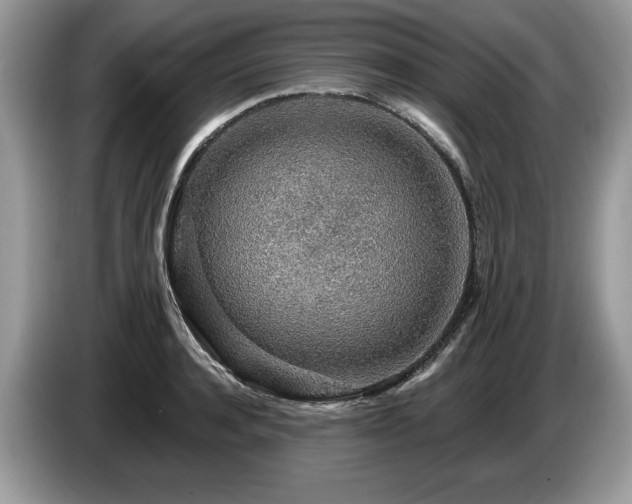 X0000087570944200704271245