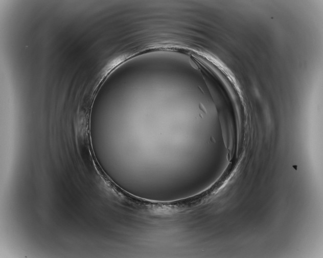 X0000087570945200704271245