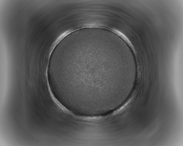X0000087570946200704271245