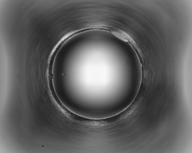 X0000087570947200704271245
