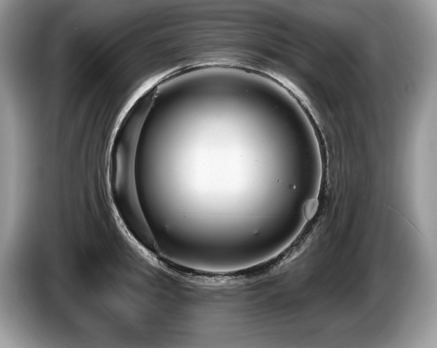 X0000087570949200704271245
