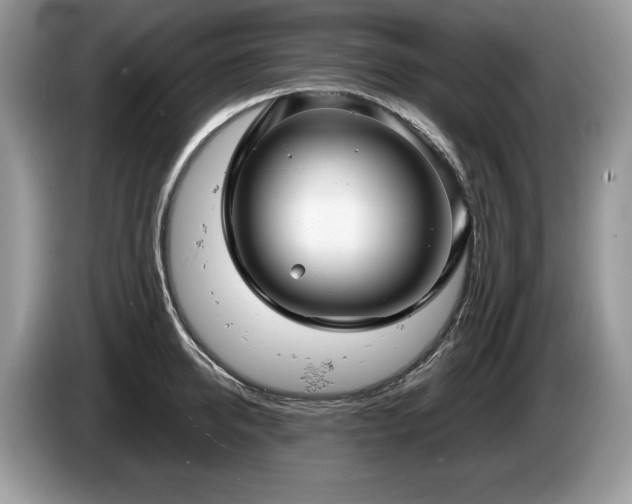X0000087570950200704271245