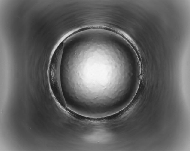 X0000087570951200704271245