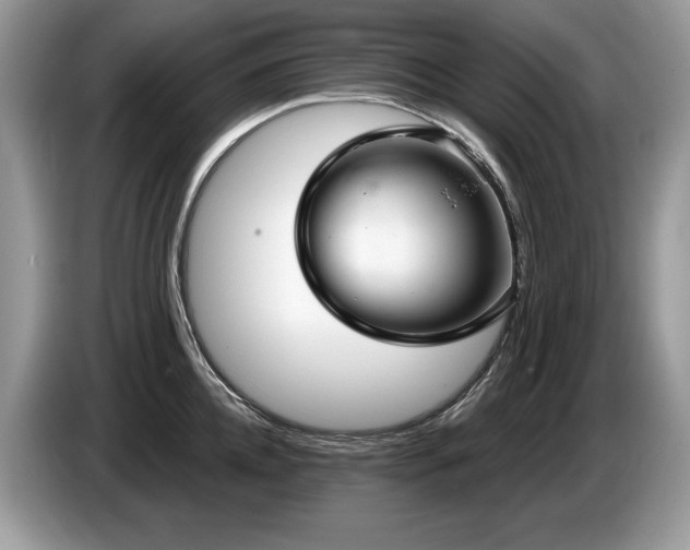 X0000087570952200704271245