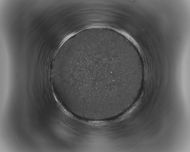 X0000087570953200704271245