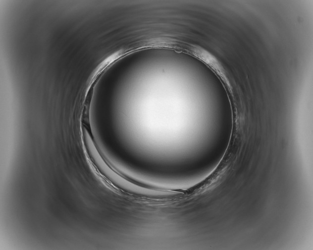 X0000087570954200704271245