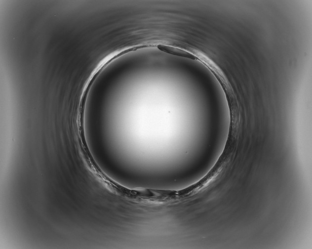 X0000087570956200704271245