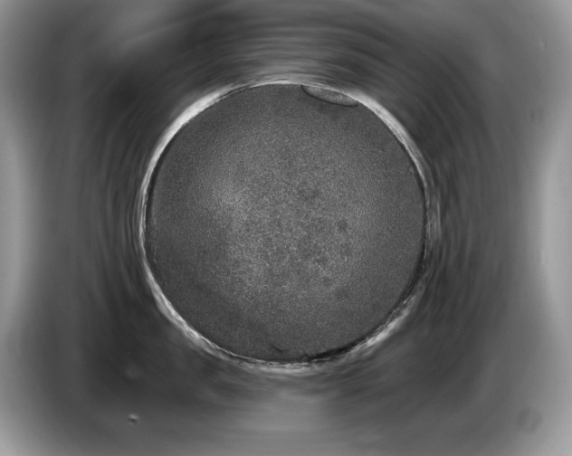 X0000087570957200704271245