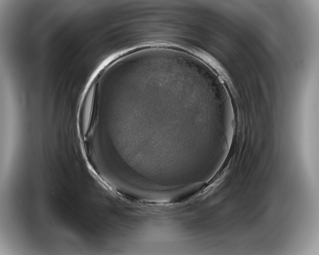 X0000087570958200704271245