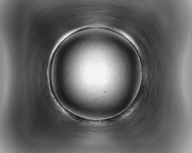X0000087570959200704271245