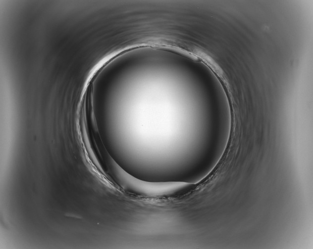 X0000087570960200704271245
