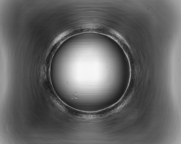 X0000087570970200704271244