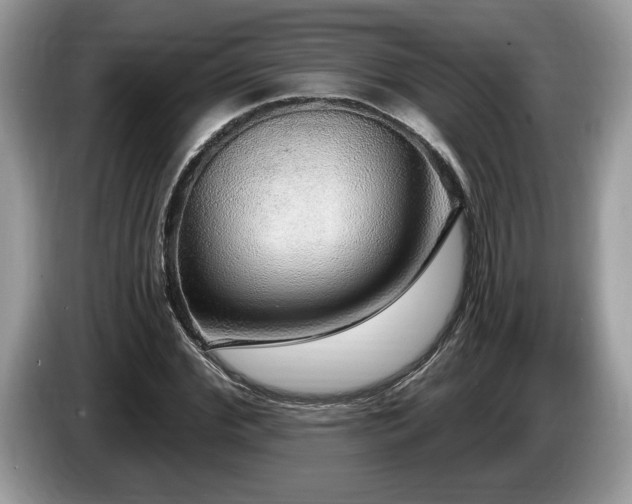 X0000087570972200704271244