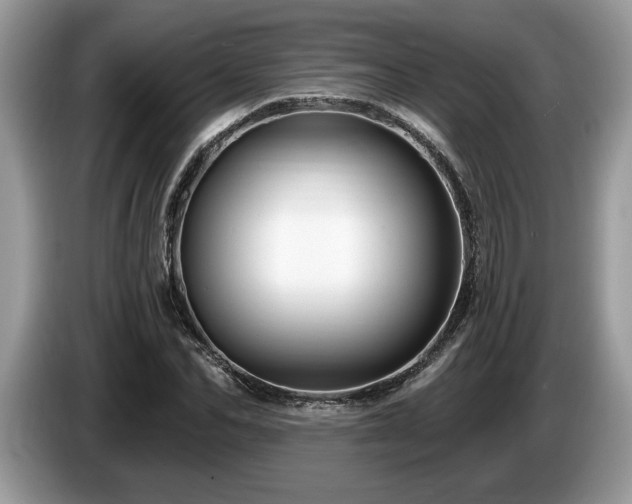 X0000087570974200704271244