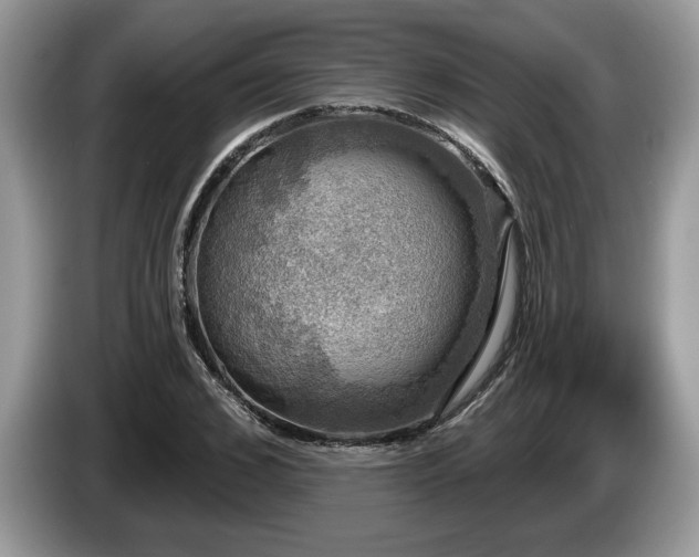X0000087570976200704271244