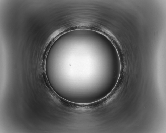 X0000087570978200704271244